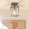 DORESshop 6 in. Nickel 1-Light Cage Semi Flush Mount Ceiling Light with Glass Shade for Living Room Bedroom - 2 of 4