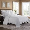 Historic Charleston Collection Estate Coverlet - 4 of 4