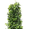 Northlight Two-Toned Artificial Boxwood Topiary Cone Tree in Pot - 4' - 3 of 4