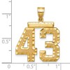 Black Bow Jewelry 14k Yellow Gold, Varsity Collection, Large D/C Pendant Number 43 - 2 of 3