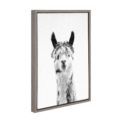 18" x 24" Black and White Llama Framed Canvas Print
