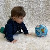 HABA Baby Ball Vehicles 5.5" for Babies 6 Months and Up - image 3 of 4