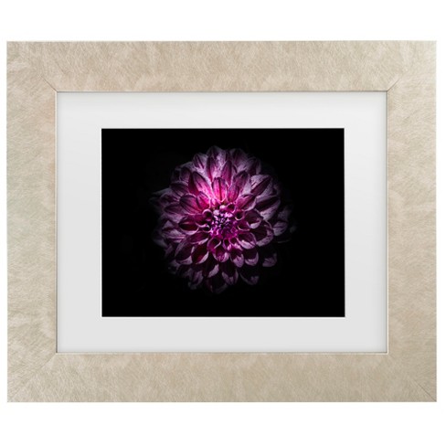 Trademark Fine Art - Brian Carson Backyard Flowers 57 Matted Framed Art - image 1 of 4