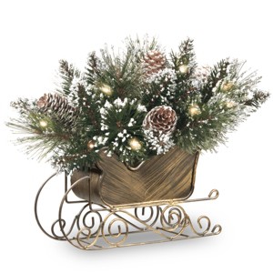 10" Prelit Glittery Bristle Pine Sleigh Warm White LED Lights - National Tree Company - 1 of 3