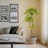 Artificial Plants Indoor, Fake Black Olive Tree with 100 LED Lights Tall Fake Plants in Plastic Nursery Pot - 2 of 4