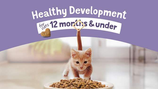 Purina Kitten Chow Nurture - Dry Cat Food, 2 of 8, play video