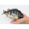 Collectible Wildlife Gifts | Fish, Rock Bream, Bass, Museum Quality, Hand Painted, Rubber Fish, Realistic Toy Figure, Model, Gift,   7"   CH381 BB142 - 2 of 4