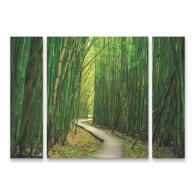 Trademark Fine Art Dennis Frates Bamboo Path 3 Piece Panel Set Art