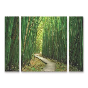Trademark Fine Art Dennis Frates Bamboo Path 3 Piece Panel Set Art - 1 of 3