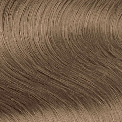 8.31 light golden ash blonde