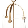 Plum & Post Capra Pendant - 3 of 4