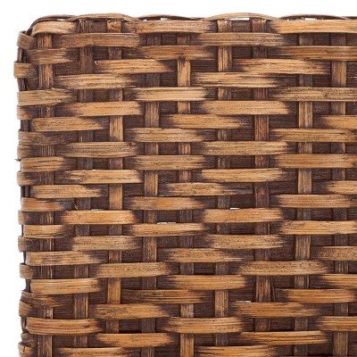 Natural Rattan and Mango Wood Dining Side Chair Set