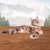 Blue Buffalo Wilderness High Protein Grain Free Natural Adult Pate Wet Cat Food with Duck Recipe - 3oz - 3 of 4