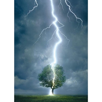 Eurographics Inc. Lighting Striking Tree 1000 Piece Jigsaw Puzzle : Target