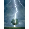 Eurographics Inc. Lighting Striking Tree 1000 Piece Jigsaw Puzzle - 3 of 4