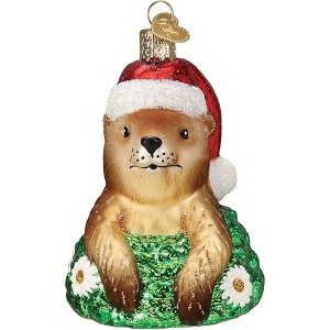 Old World Christmas Glass Blown Ornament for Christmas Tree, Santa Groundhog - 1 of 4