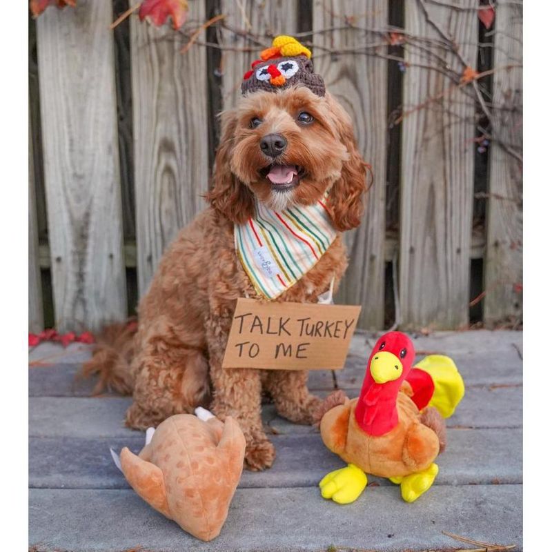 Midlee Roasted Thanksgiving Turkey Plush Dog Toy, 4 of 9