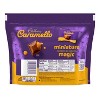 Hershey's Cadbury Caramello Candy Share Size Bag - 8oz - image 4 of 4