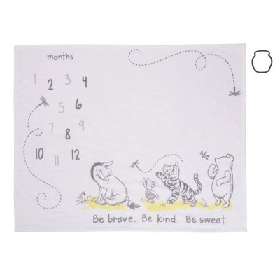 Disney Winnie The Pooh Piglet Heart Kitchen Towel Set