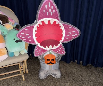 Guest review image 1 of 1, zoom in