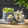 Sullivans 3", 4.25" & 5" Global Motif Low Profile Pots Set of 3, Multicolored - 3 of 4