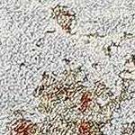 light gray, medium gray, medium brown, gray