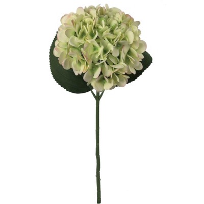Floral Home 18.5" Green Hydrangea - 12-Pieces