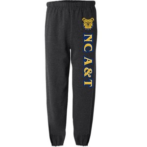 North Carolina A&T State University Collegiate Team Logo Jogger Sweatpants - 1 of 4