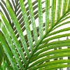 HomeStock  4 ft. Artificial Palm Tree in Pot for Indoor/Outdoor - 3 of 4