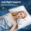 Queen Size Pillow Set of 2, Down Alternative Fill, Machine Washable, for All Sleep Positions - 2 of 4