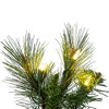 Vickerman Brighton Pine Artificial Wreath - 2 of 4