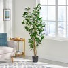 XINGHANZHENXUAN Artificial Laurel Tree, Pre-Potted Faux with Lush Green Leaves, Classic Lifelike Decor for Indoor, Outdoor Spaces - 2 of 4