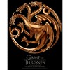 Men's Game of Thrones Iron Anniversary Targaryen Metal Dragon Crest T-Shirt - 2 of 4