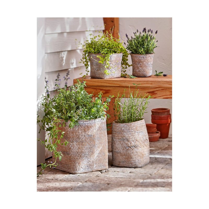 tagltd Maya Cement Basket Planter, 9.0L x 9.0W x 9.8H inches, holds up to an 6" drop in plant., 2 of 3