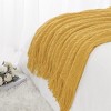 PiccoCasa 100% Acrylic Knit Wave Pattern Soft Tassels Fringe Lightweight Blanket - 4 of 4