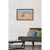 Trends International The Comedy Wildlife Photography Awards: Anup Deodhar - Rockstar Framed Wall Poster Prints - 2 of 4