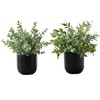 Monarch Specialties Artificial Plant 11 inch Tall Eucalyptus Grass Indoor Faux Fake Table Greenery Potted Set Of 2 Decorative Green Leaves Black Pots - 2 of 4