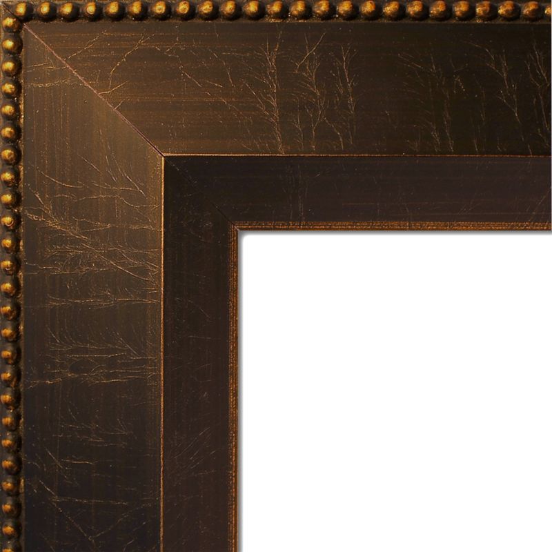 Amanti Art Signore Bronze Wood Picture Frame, 2 of 7