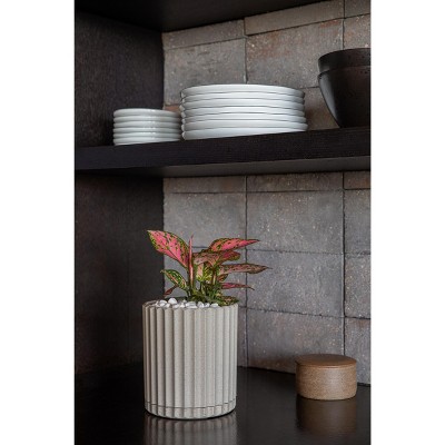 Sand Fluted 6'' Plastic-Stone Indoor/Outdoor Planter Set