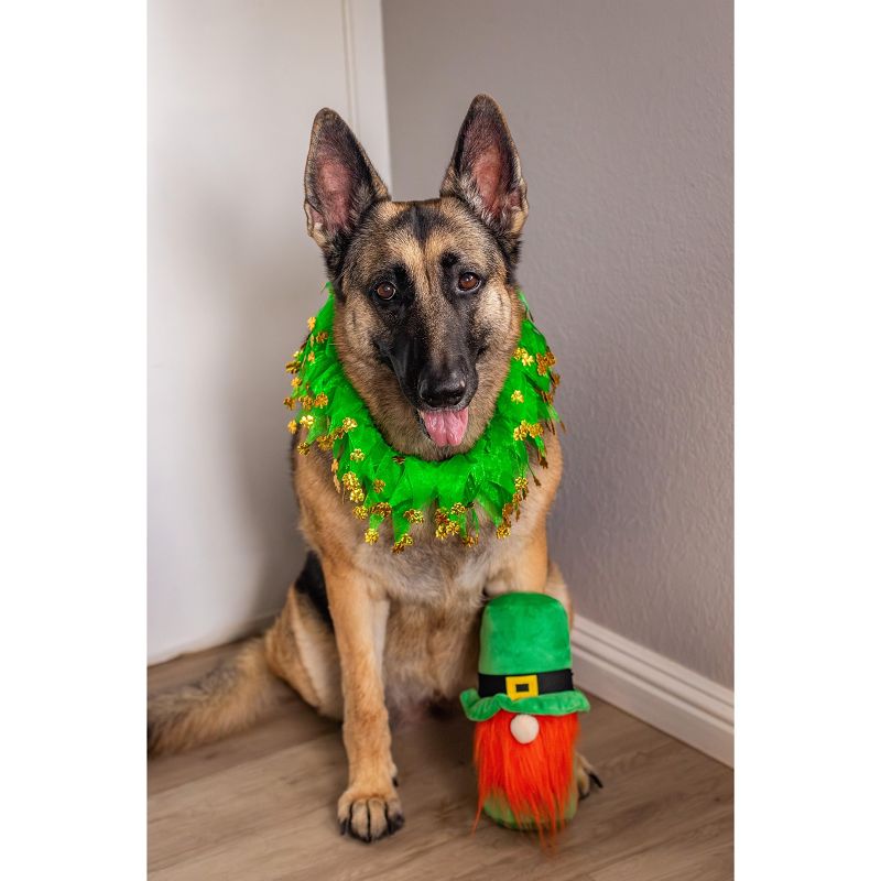 St. Patrick's Day Hide a Ball Gnome Dog Toy, 3 of 8