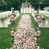 VINGLI Garden Arbor, Arch for Wedding Ceremony Party, Christmas Garden Decor Steel Garden Trellis for Garden, Backyard, Lawn - 3 of 4