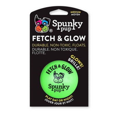 Spunky Pup Fetch & Glow Ball Dog Toy - M