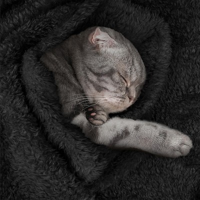 Small Black Sherpa Fleece Waterproof Pet Blanket