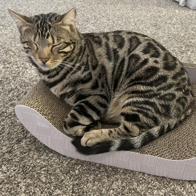 Guest review image 1 of 1, zoom in