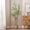 XINGHANZHENXUAN Artificial Disc Leaf Tree, Pre-Potted Faux Enkianthus Plant with Lifelike Foliage, Low-Maintenance Greenery for Home & Office - 4 of 4