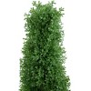 Northlight 4' Artificial Boxwood Cone Topiary Tree with Pot, Unlit - 3 of 4