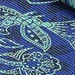 divine impressionist