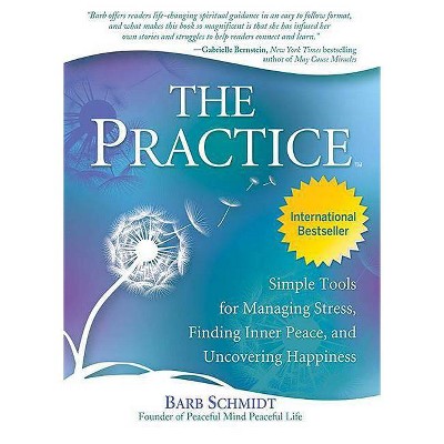 The Practice - by  Barb Schmidt (Paperback)