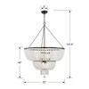 Crystorama Lighting Rylee 12 - Light Chandelier in  Matte Black - 4 of 4