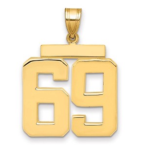 Black Bow Jewelry 14k Yellow Gold, Athletic Collection, Large Polished Number 69 Pendant - 1 of 3